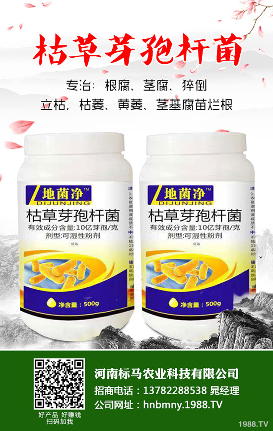 茄子想高產(chǎn)，整枝修葉是關(guān)鍵！茄子整枝修葉原則及方法介紹！