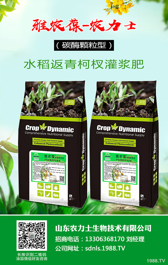     ����(n��i)���؃r(ji��)��С��̽�q���������������߄�(sh��)�C���A(y��)�y(c��)2020-4-16