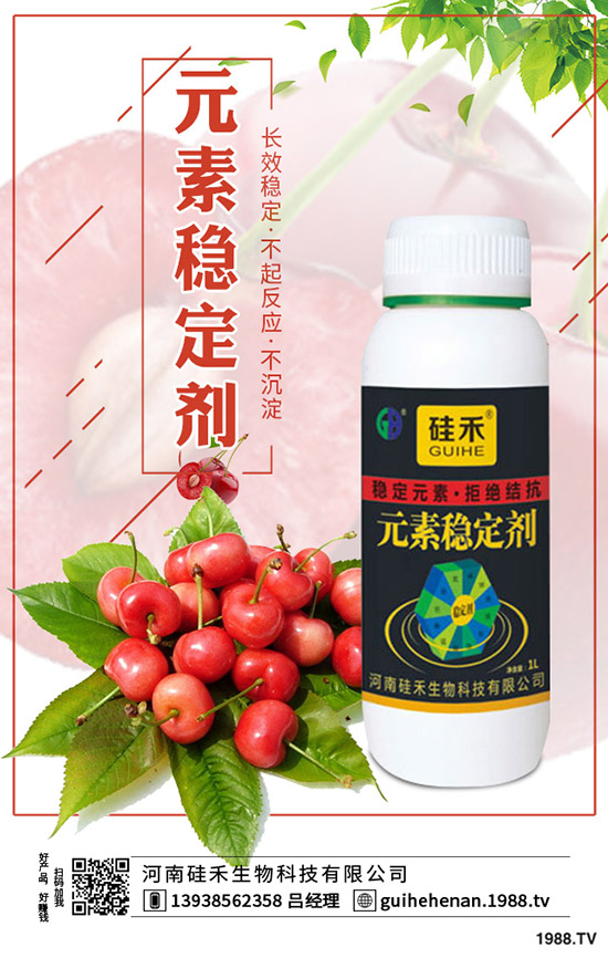 玉米需肥規(guī)律是什么？玉米配方施肥技術(shù)！