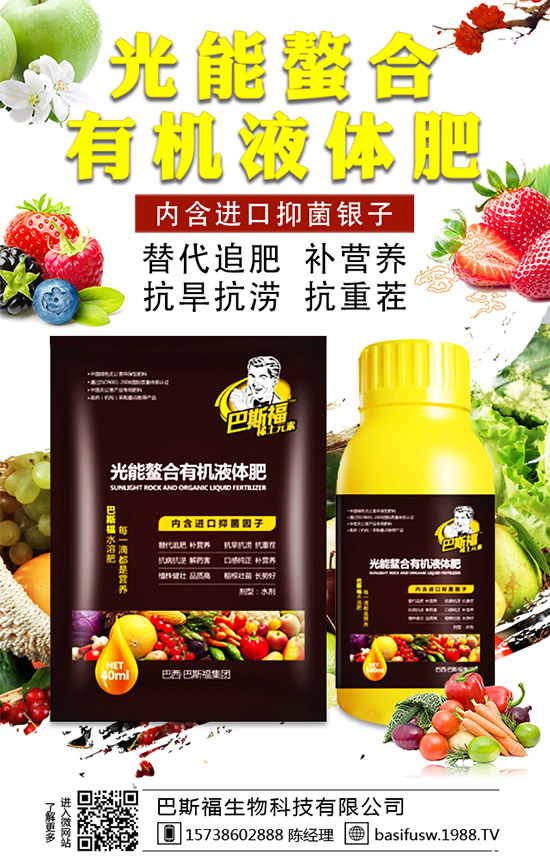 ��˹�������m(x��)�s1988.TV��������I(y��)���x����