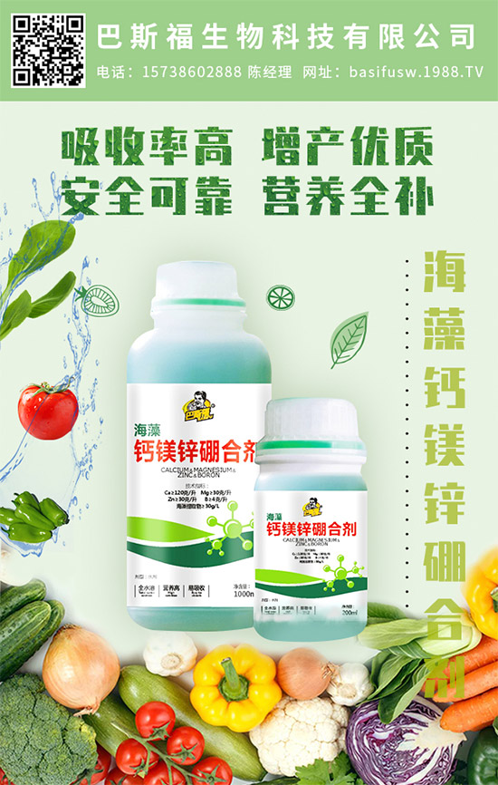 ��˹�������m(x��)�s1988.TV��������I(y��)���x����