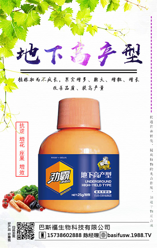 ��˹�������m(x��)�s1988.TV��������I(y��)���x����