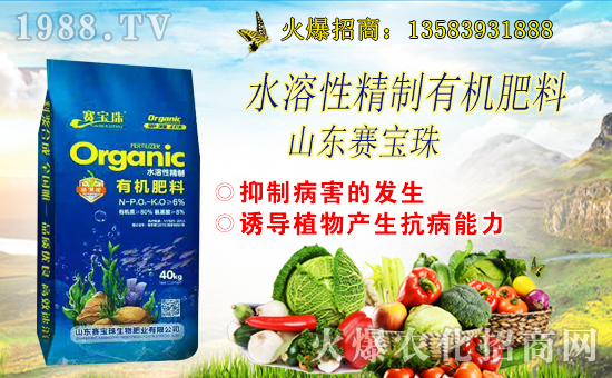 ِ�������ﺞ�s1988.TV�����\�������p�A��