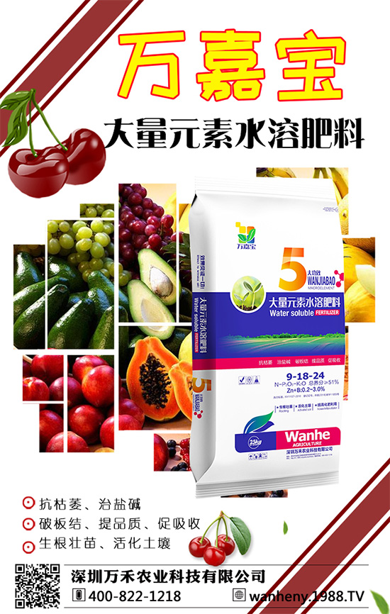 �����f���r(n��ng)�I(y��)�ٶȔy��1988.TV������W(w��ng)�j(lu��)�������E��