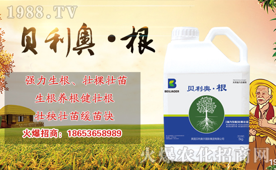 ���r(n��ng)���W(w��ng)ϲӭ�����ѣ������S���ﺞ�s���v1988