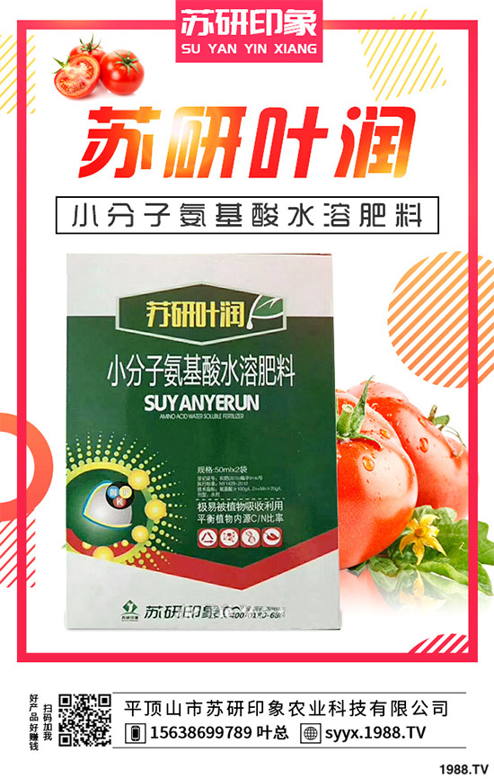 馬鈴薯該如何覆膜種植？馬鈴薯覆膜種植技術(shù)要點(diǎn)及存在的問題