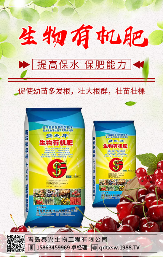 生姜該如何播種育苗？生姜高產(chǎn)栽培技術(shù)要點