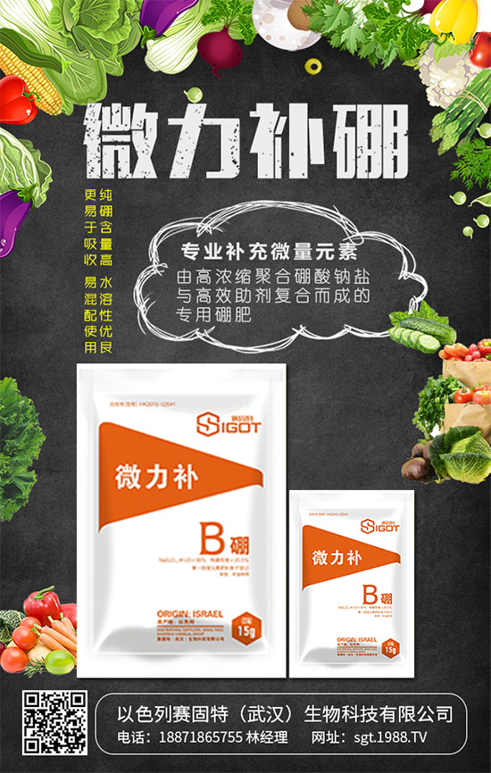 ��ɫ��ِ�����ٴΠ���1988.TV���_(k��i)�������¾�����