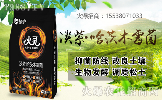 ���˸��r(n��ng)�I(y��)�ٺ����r(n��ng)���W(w��ng)�����󌍬F(xi��n)�v�w����