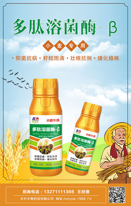 ���~�����ٺ�1988.TV���y�ִ����������E��