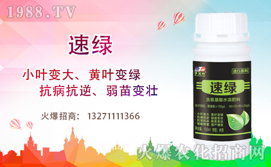 ���~�����ٺ�1988.TV���y�ִ����������E��