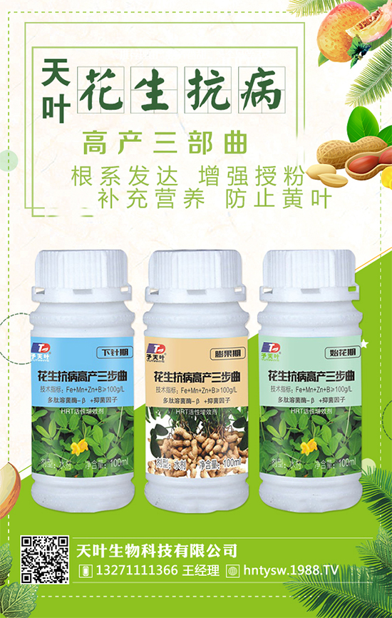 ���~�����ٺ�1988.TV���y�ִ����������E��