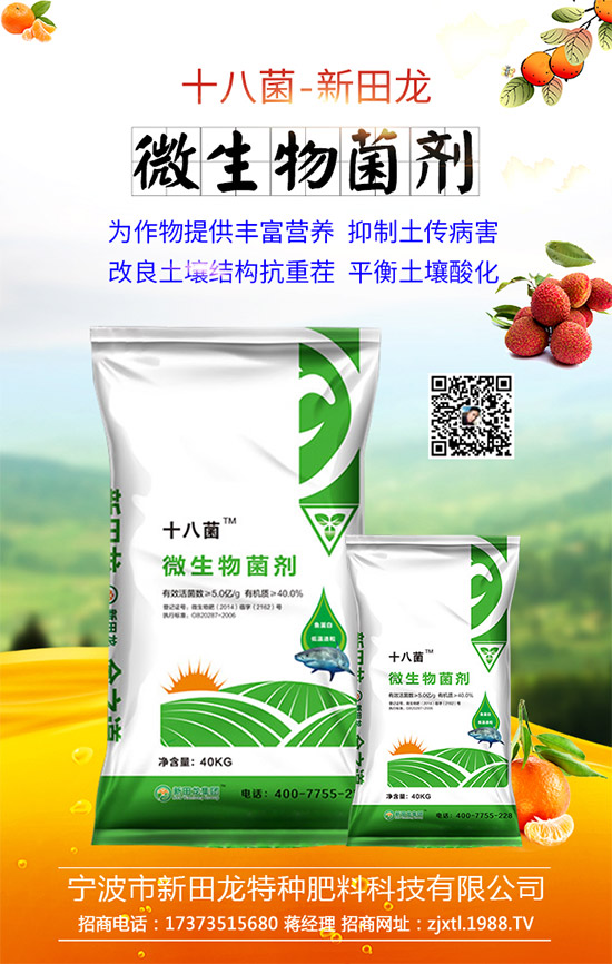 �����P(gu��n)ϵ�����A���������m(x��)�s1988.TV�����\�����°l(f��)չ��