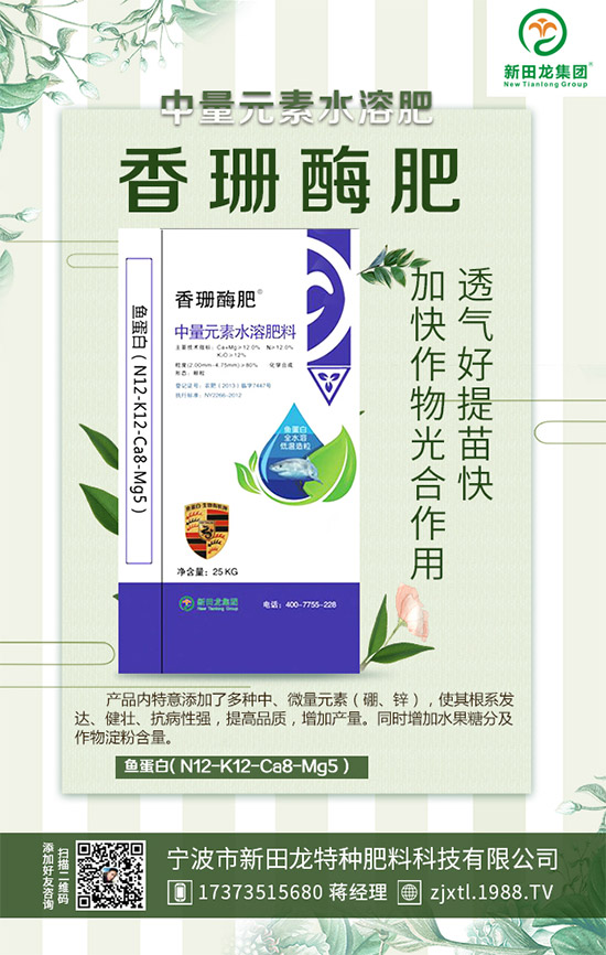 �����P(gu��n)ϵ�����A���������m(x��)�s1988.TV�����\�����°l(f��)չ��