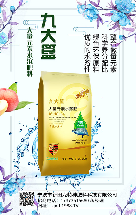 �����P(gu��n)ϵ�����A���������m(x��)�s1988.TV�����\�����°l(f��)չ��