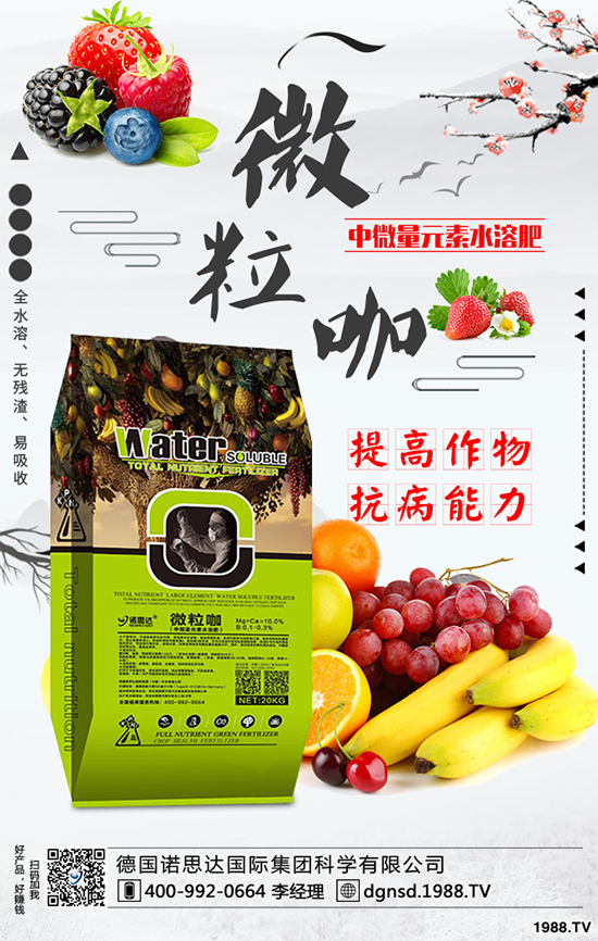 ��(zh��n)�Ժ���������(j��)�����Z˼�_(d��)�ٴκ��s1988.TV��