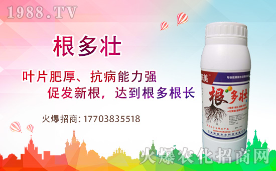 1988.TVϲӭ�������������³��_���W(w��ng)�j(lu��)���������̣�