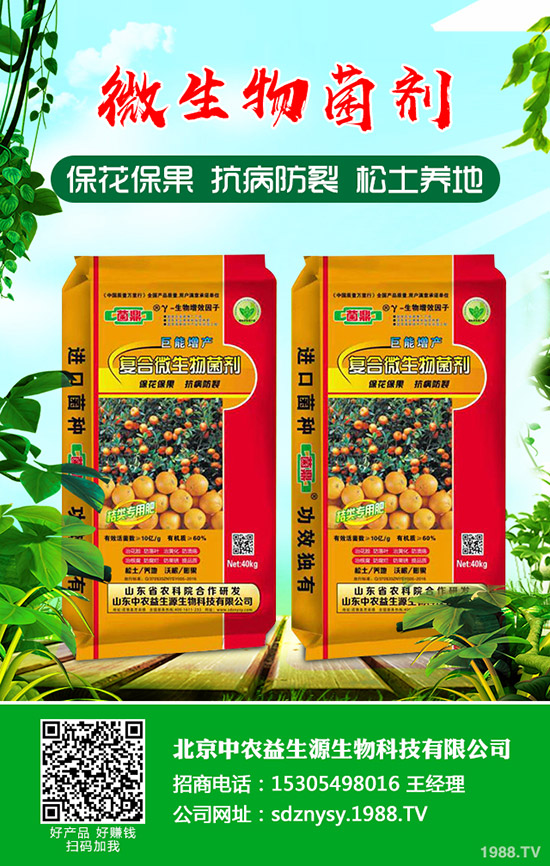     2020-4-22鉀肥國內(nèi)市場行情持續(xù)穩(wěn)定！價格整體偏低運行！最新行情分析！