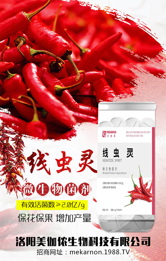 ��(zh��n)�Ժ���������(j��)����٤�z�����ٺ��r(n��ng)���W(w��ng)���A2020��