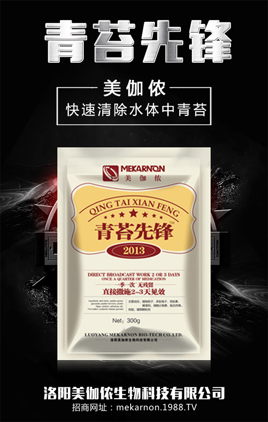 ��(zh��n)�Ժ���������(j��)����٤�z�����ٺ��r(n��ng)���W(w��ng)���A2020��