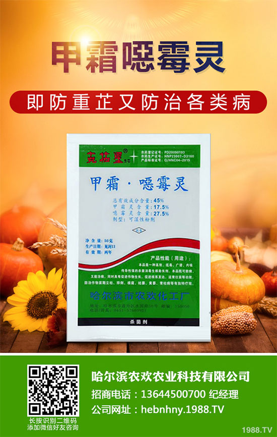 ���˚������r(ji��)��