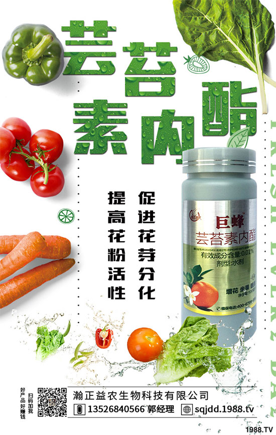 ����ֲ��Դˎ��������̦�������g�aƷ��̦������������