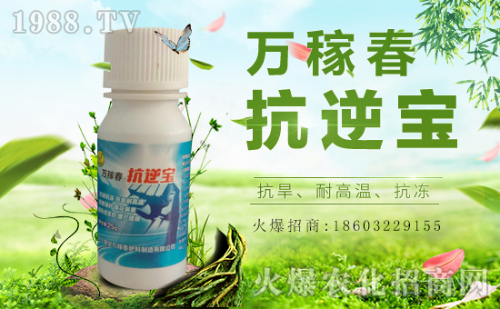 �������f�ڴ��������v���r(n��ng)�����̾W(w��ng)�����F(xi��n)��I(y��)�°l(f��)չ��