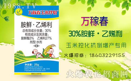 �������f�ڴ��������v���r(n��ng)�����̾W(w��ng)�����F(xi��n)��I(y��)�°l(f��)չ��