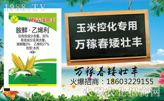 �������f�ڴ��������v���r(n��ng)�����̾W(w��ng)�����F(xi��n)��I(y��)�°l(f��)չ��