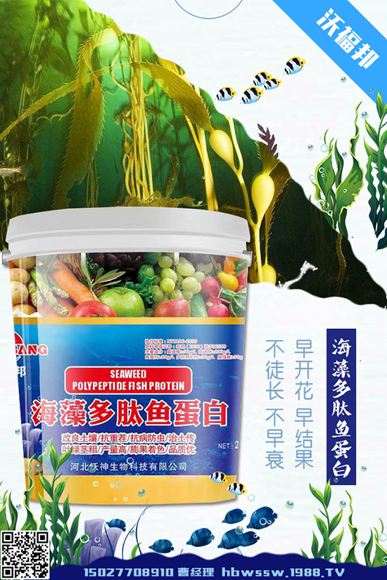     茄子種植需要注意哪些問題，茄子的水肥管理要點！