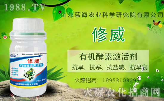 ɽ�|�{���������v���r(n��ng)�����̾W(w��ng)�����_�N����������