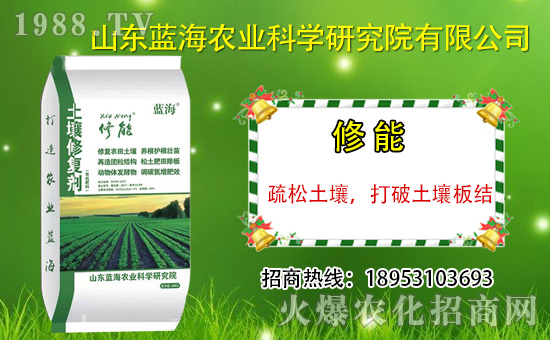 ɽ�|�{���������v���r(n��ng)�����̾W(w��ng)�����_�N����������