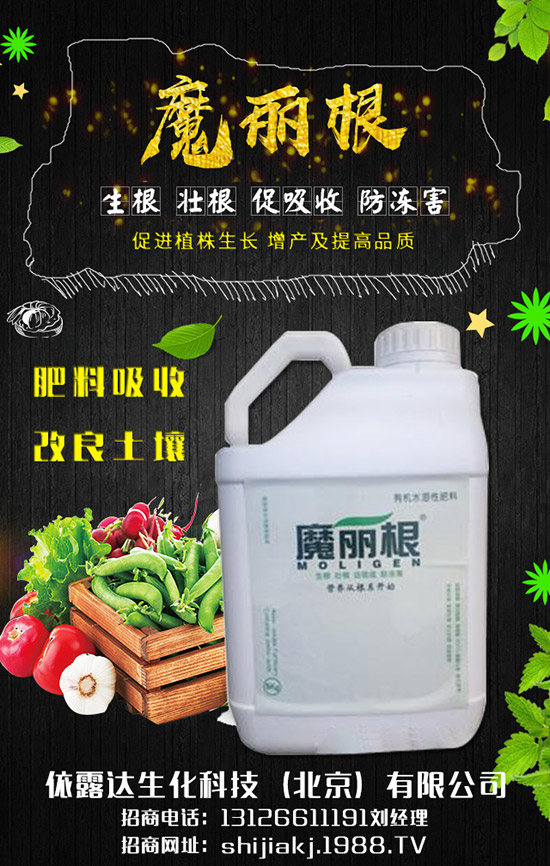 香蔥對環(huán)境的要求有哪些，香蔥的種植季節(jié)及日常管理！