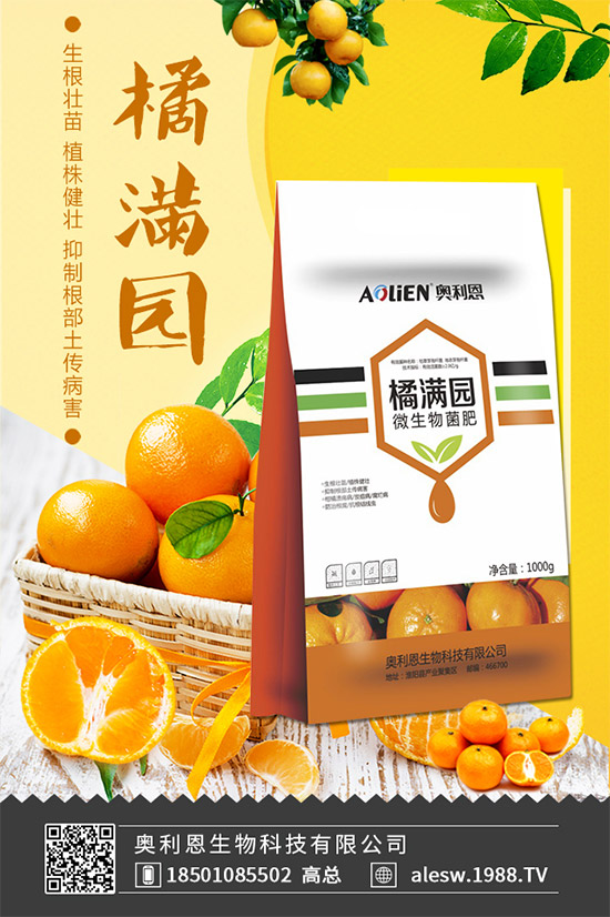 怎么區(qū)別大茴香和小茴香？茴香種植注意事項(xiàng)！