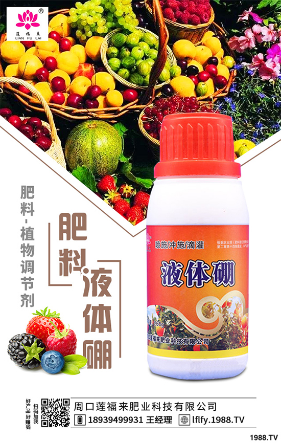 皂莢樹有哪些用途？該如何栽培？皂莢樹的栽培管理技術(shù)