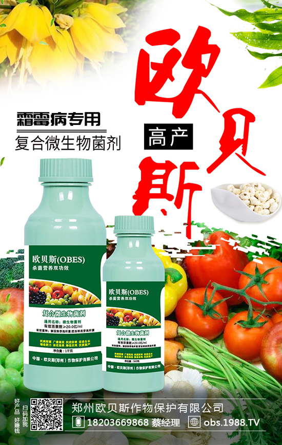 ���ݚWؐ˹���ﱣ�o(h��)���޹�˾