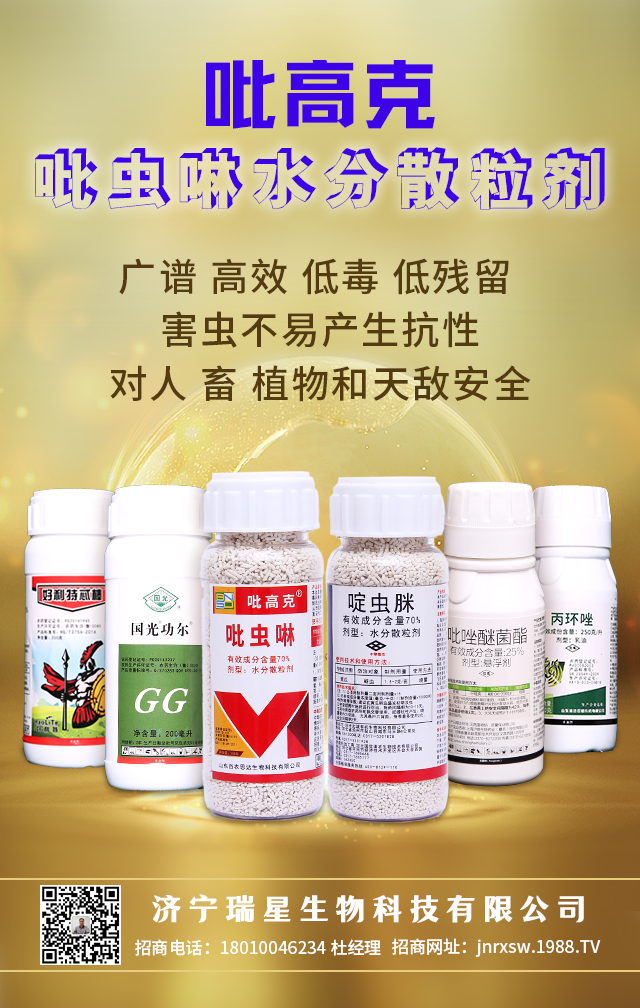 ������������Ƽ����޹�˾2