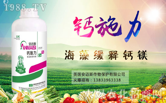 ���~˹���ﺞ�s���r(n��ng)���W(w��ng)�����_�W(w��ng)�j������������