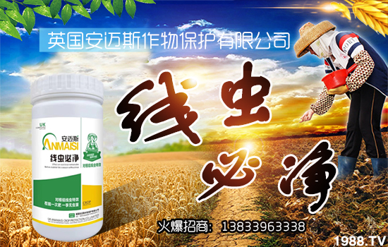 ���~˹���ﺞ�s���r(n��ng)���W(w��ng)�����_�W(w��ng)�j������������