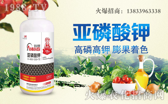 ���~˹���ﺞ�s���r(n��ng)���W(w��ng)�����_�W(w��ng)�j������������