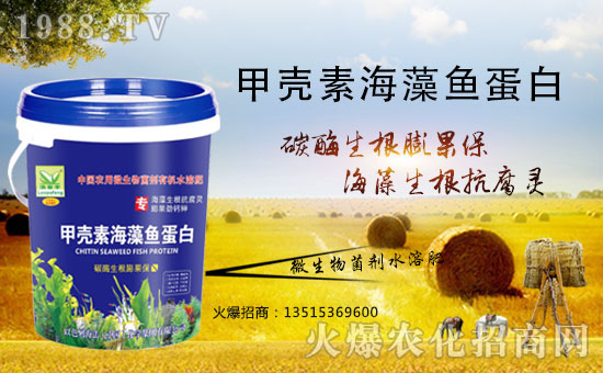 �����������������A����ɫ�к����ٺ�1988.TV�ل�(chu��ng)���x�ͣ�