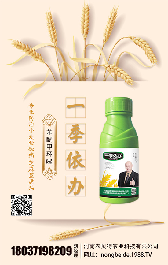 水培白掌怎么養(yǎng)？水培水培注意要點！