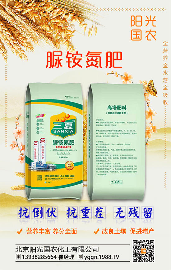 白掌怎么養(yǎng)殖好？水培白掌需要多久才能換水？