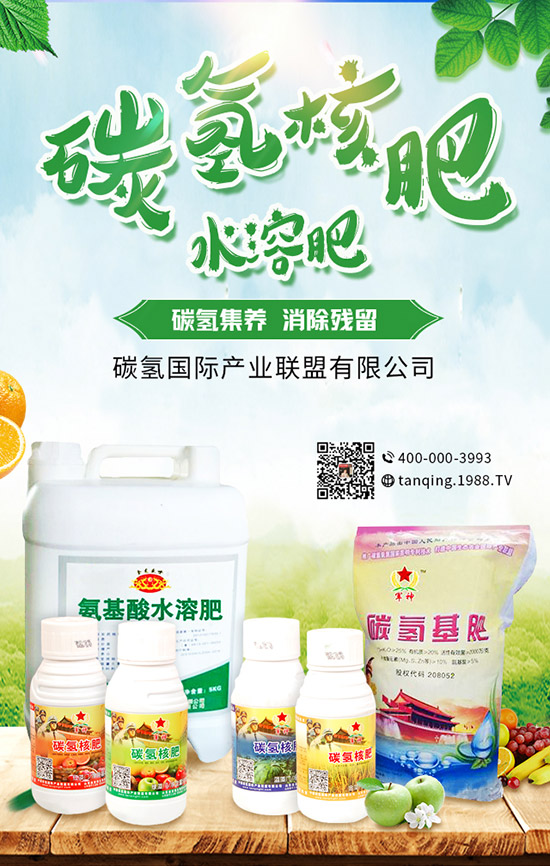     5月可以種什么菜？5月蔬菜種植指南及防注意事項！