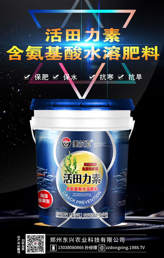 牛大力的種植的前景怎樣，牛大力種植技術(shù)及苗期管理！