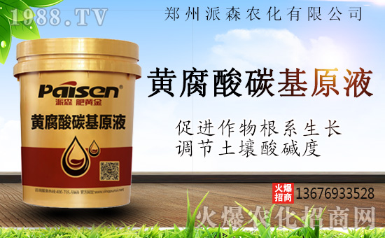 ������ɭ�r(n��ng)���ٺ�1988.TV����(zh��n)�Ժ����P(gu��n)ϵ�������_�A��