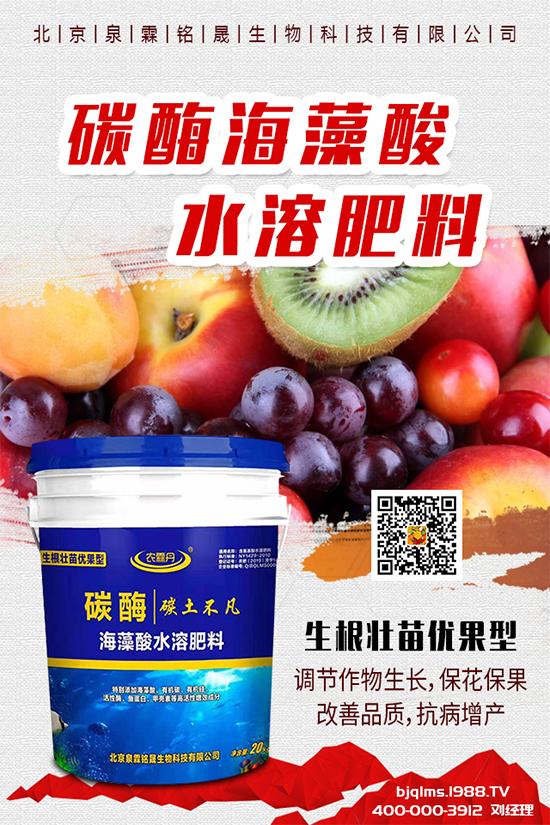 黃瓜出現(xiàn)早衰是什么原因？黃瓜早衰解決措施有哪些？