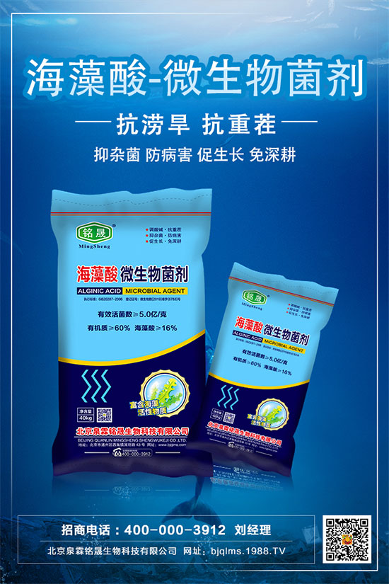 杏樹種植技術(shù)要點，杏樹的栽種注意事項！