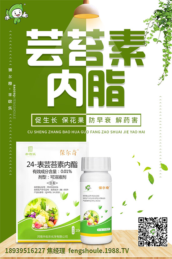 ��ɺ��ԓ��ô�Nֲ����ηNֲ�ܸ߮a(ch��n)����ɺ���߮a(ch��n)�Nֲ���g(sh��)