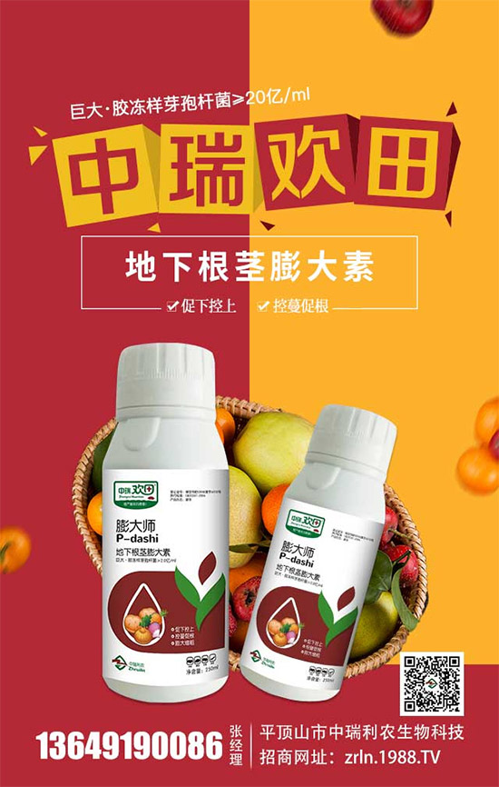 ����������(j��)���������r(n��ng)�ٺ����r(n��ng)�����̾W(w��ng)�������W(w��ng)�j(lu��)����·��